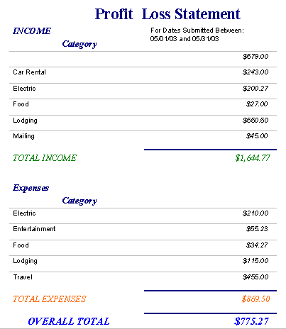 A sample profit and loss