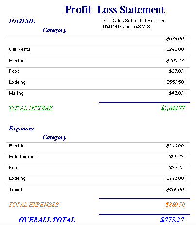 profit and loss. A sample profit and loss