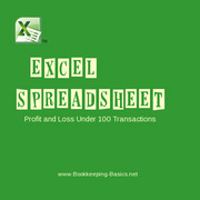 Excel Spreadsheet PL 100