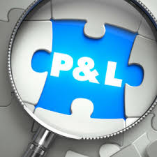 P&L Financial Statement