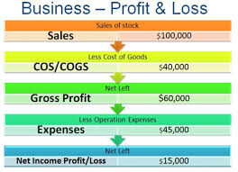 Profit and Loss Statement Account