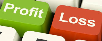 Profit and Loss Statement 