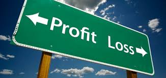 Profit and Loss Statement