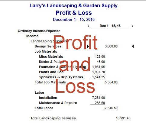 Profit and Loss Statement