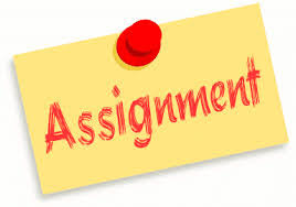 School Balance Sheet Assignment