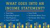 Profit and Loss Income Statement
