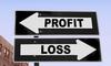 Profit and Loss Financial Statements