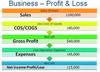 Profit and Loss Statement Account