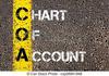 The Chart of Accounts